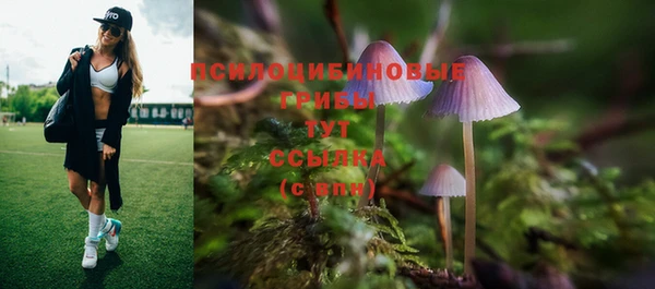 эйфоретик Богородск