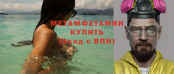 стаф Богданович