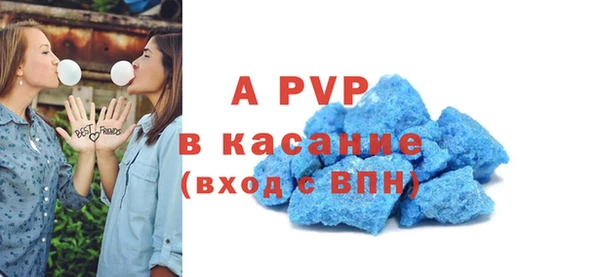 стаф Богданович