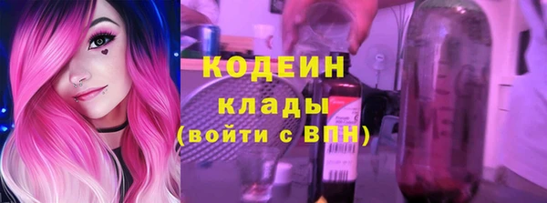 амф Бородино