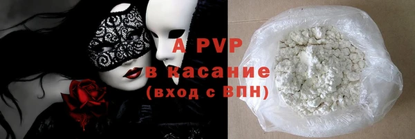 стаф Богданович