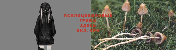 эйфоретик Богородск