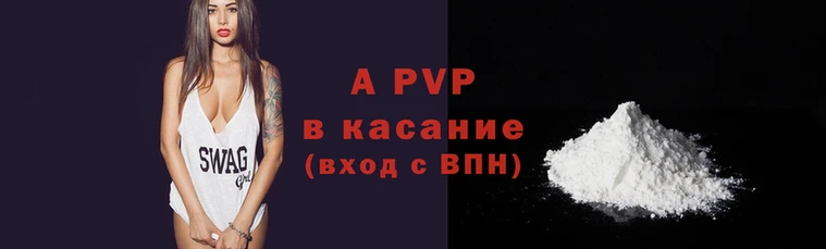 стаф Богданович