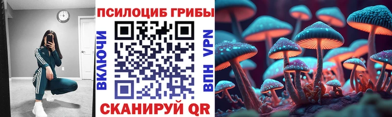 Галлюциногенные грибы GOLDEN TEACHER  маркетплейс официальный сайт  Сретенск 